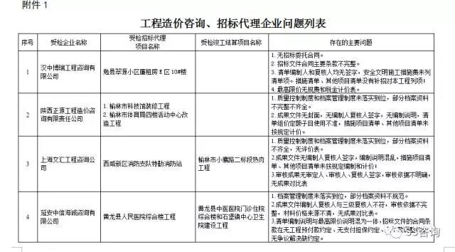 工程造價(jià)咨詢、招標(biāo)代理企業(yè)問題列表